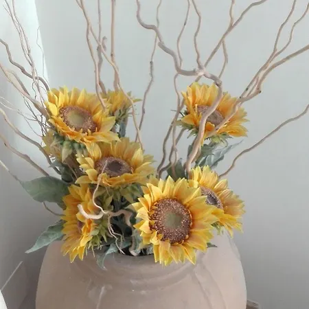 La Sorgente Del Sole Apartamento *