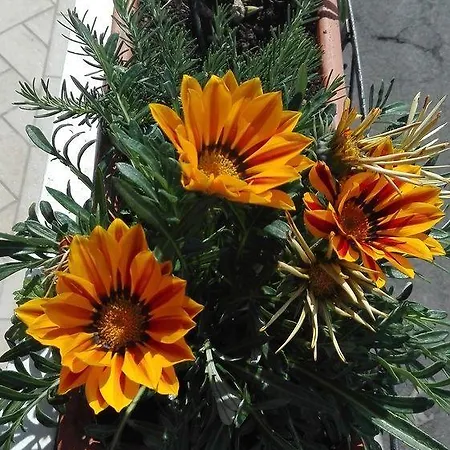 Appartamento La Sorgente Del Sole *