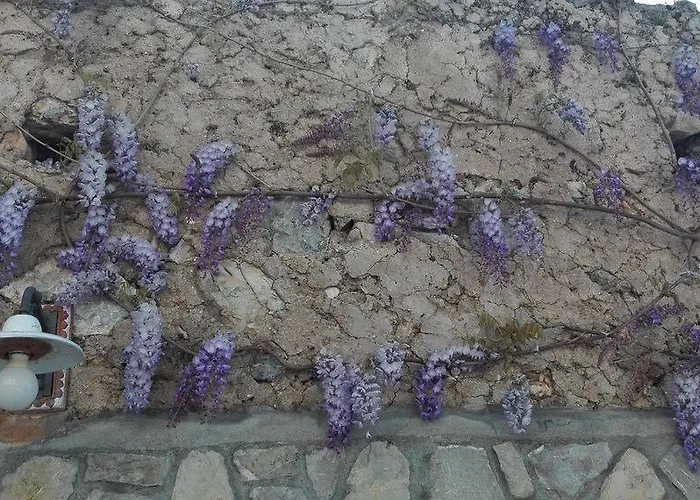 La Sorgente Del Sole Appartement