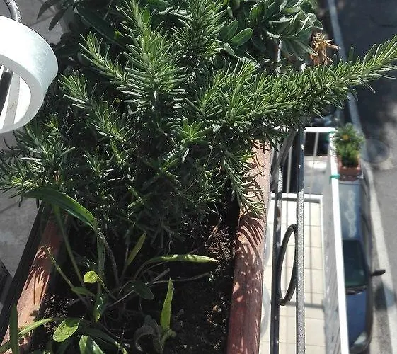 Apartamento La Sorgente Del Sole Positano