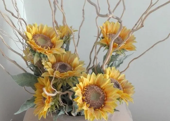 La Sorgente Del Sole Appartement *