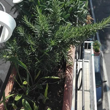 Apartman La Sorgente Del Sole Positano